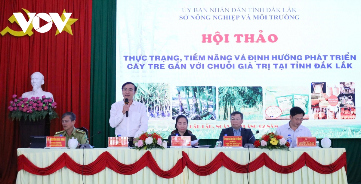 Vùng biên giới Đắk Lắk khai mở tiềm năng kinh tế xanh từ cây tre
