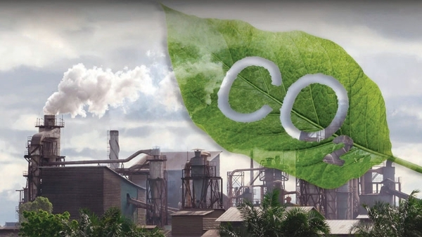 Thị trường carbon không chỉ giúp thực hiện nghĩa vụ môi trường mà còn nâng cao năng lực cạnh tranh của doanh nghiệp, đặc biệt trong bối cảnh các tiêu chuẩn xanh ngày càng phổ biến. Ảnh minh họa
