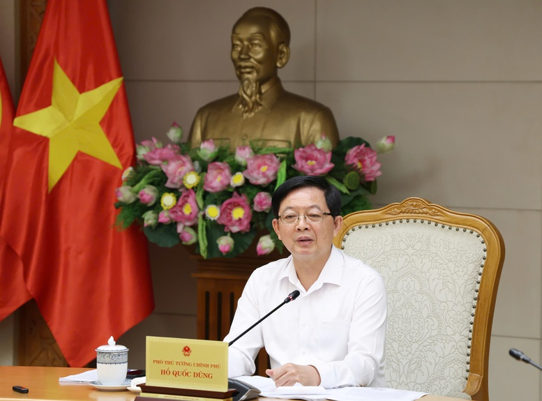 Phó Thủ tướng nhấn mạnh, việc ban hành Nghị định này là hết sức cần thiết và cấp bách trong giai đoạn hiện nay - Ảnh: VGP/Gia Huy