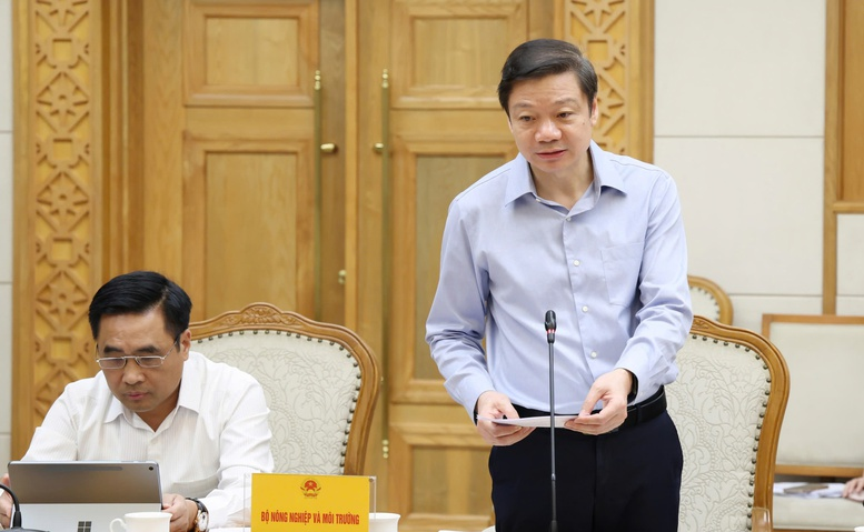 Cục trưởng Cục Lâm nghiệp và Kiểm lâm (Bộ NN&MT) Trần Quang Bảo báo cáo tại cuộc họp - Ảnh: VGP/Gia Huy