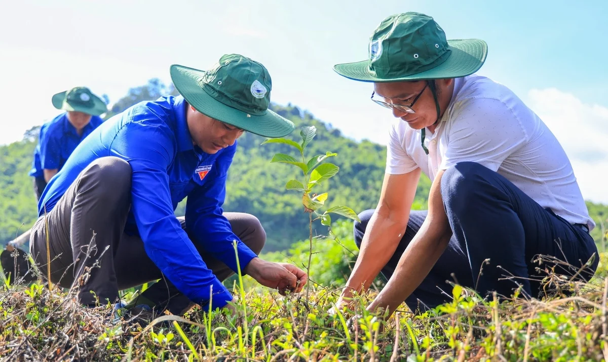 Các hoạt động trồng, phục hồi rừng tại Lâm Đồng được định hướng gắn với nâng hiệu quả sử dụng đất lâm nghiệp và phát triển sinh kế. Ảnh: Phạm Hoài.