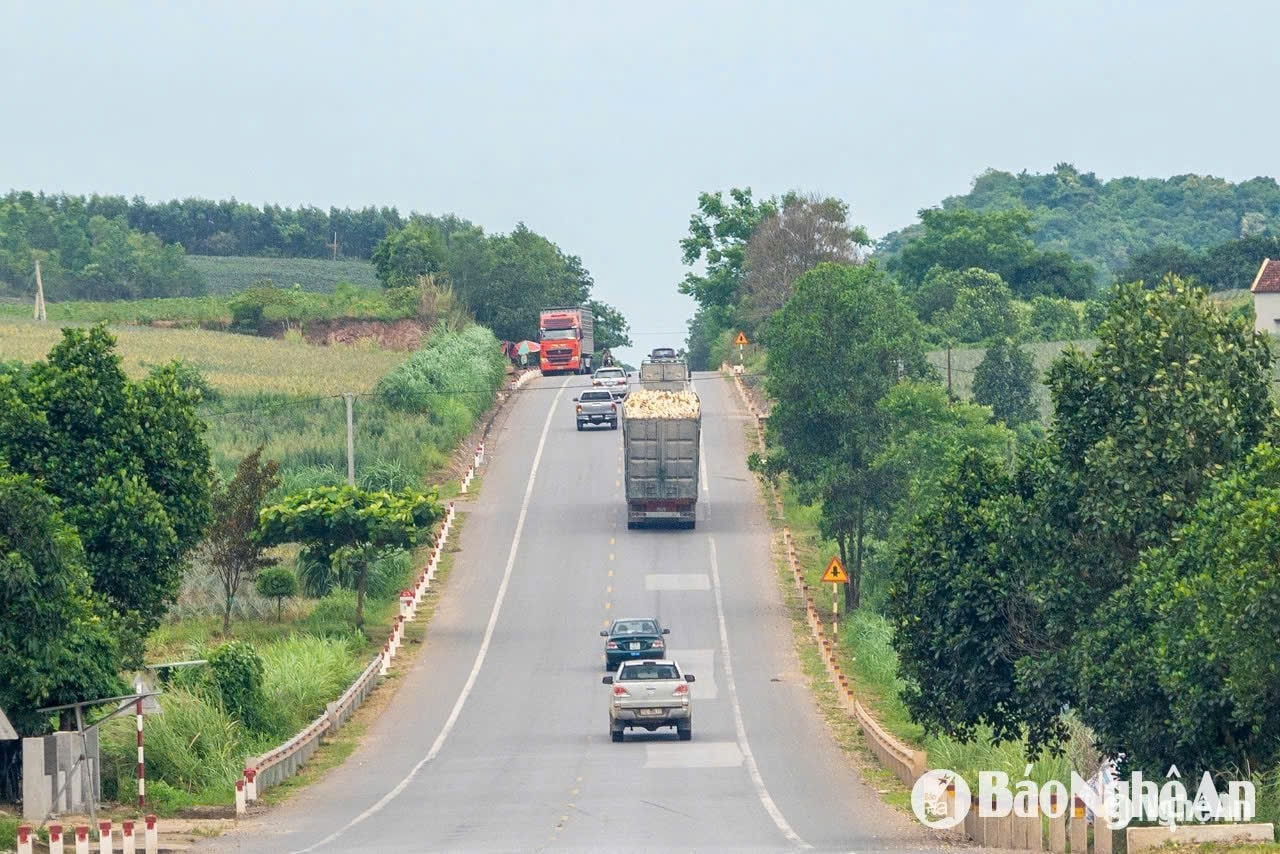 Xe vận chuyển dăm gỗ từ Nghệ An ra Cảng Nghi Sơn, Thanh Hóa. Ảnh: Nguyễn Đạo