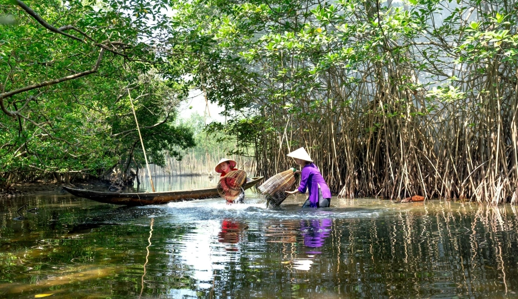Người dân đánh bắt thủy hải sản tại rừng ngập mặn. Ảnh: Pexels