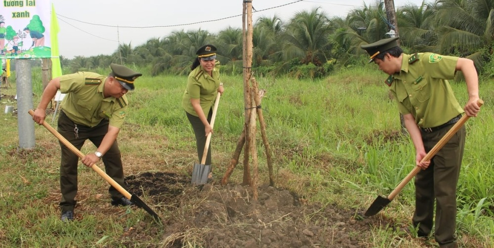 Ngành chức năng trồng cây xanh