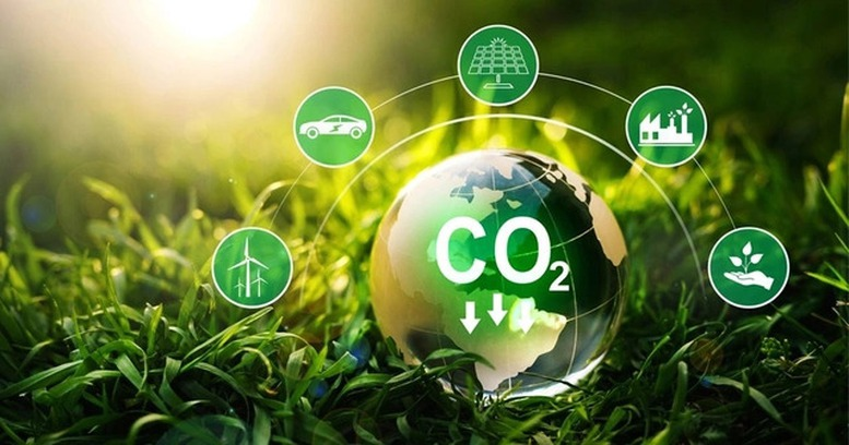 Việc cung ứng và sử dụng dịch vụ hấp thụ và lưu giữ carbon của rừng không được ảnh hưởng đến việc thực hiện cam kết quốc tế về giảm phát thải khí nhà kính mà Việt Nam tham gia.
