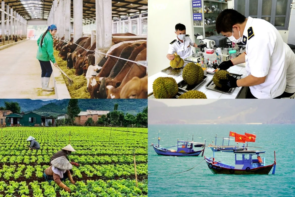 Nhiều thủ tục liên quan đến lĩnh vực trồng trọt và bảo vệ thực vật, chăn nuôi và thú y, môi trường, biến đổi khí hậu, khoa học công nghệ, quản lý tài nguyên biển và hải đảo được cắt giảm, đơn giản hóa và phân cấp cho địa phương. Ảnh: Thanh Ngân.