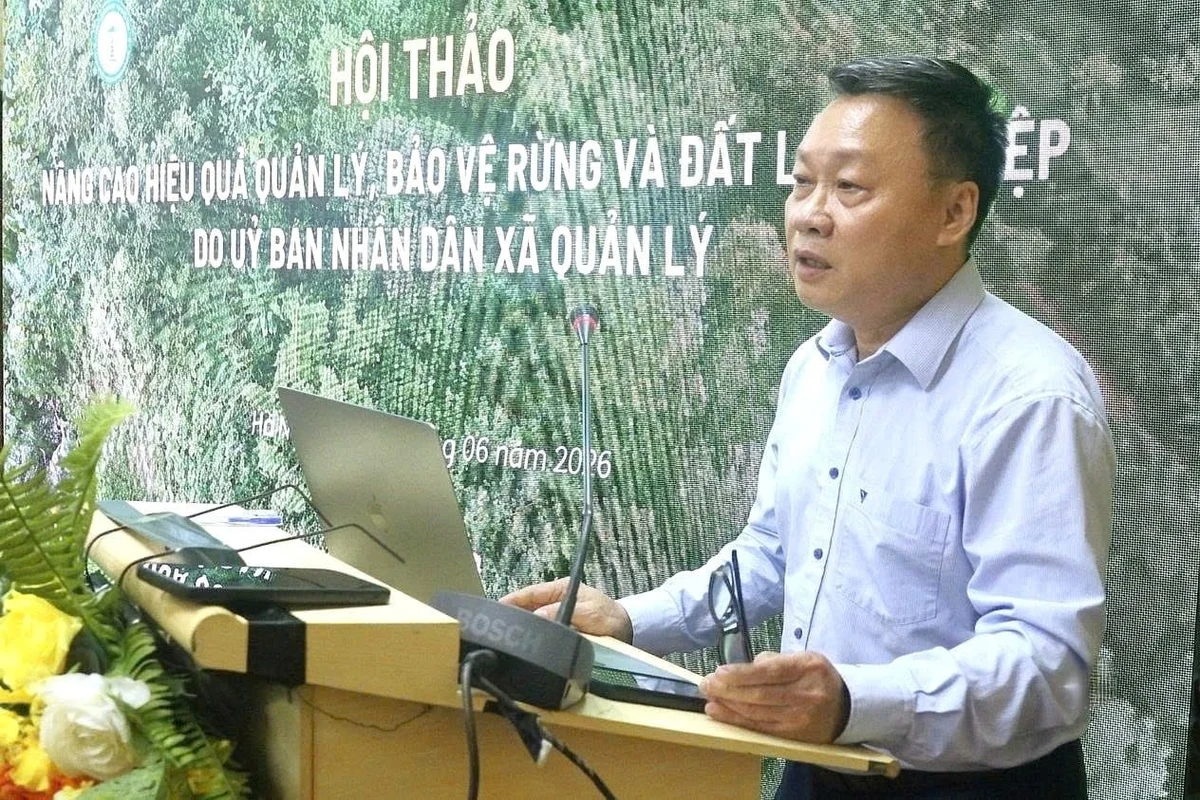 Ông Vũ Mạnh Hùng cho rằng cần chuyển từ tư duy "UBND cấp xã quản lý rừng thay Nhà nước" sang mô hình mọi diện tích rừng đều có chủ thể quản lý thực sự. Ảnh: Trung Hiếu.
