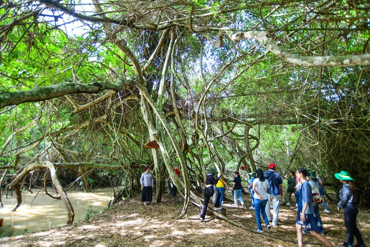Tây Ninh xác định không chỉ xuất khẩu nông sản hay cho thuê đất công nghiệp, mà sẽ bán “không khí sạch” và trách nhiệm với môi trường - Ảnh: QUANG ĐỊNH