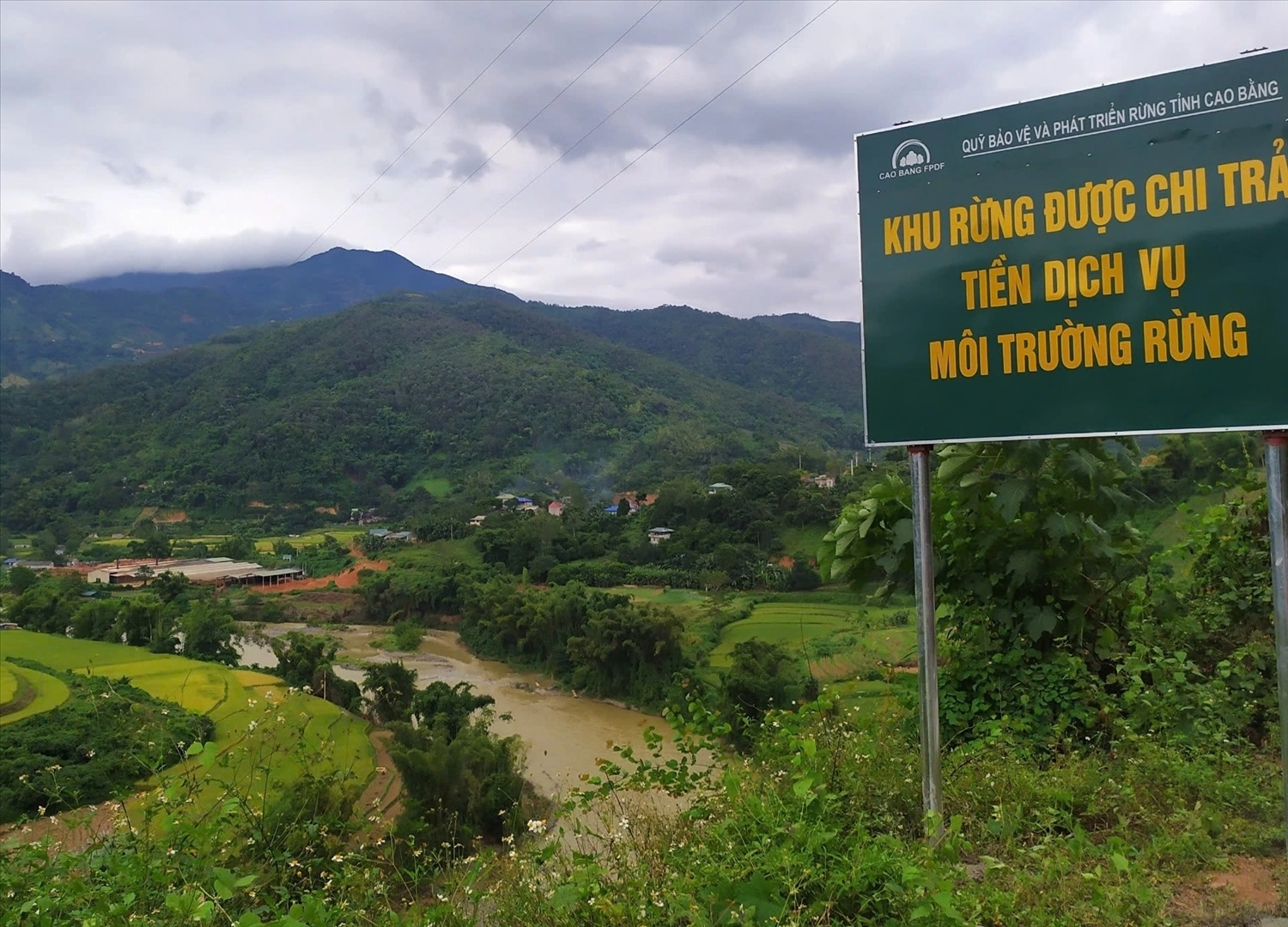 Sở Nông nghiệp và Môi trường phản hồi thông tin về chi trả dịch vụ môi trường rừng
