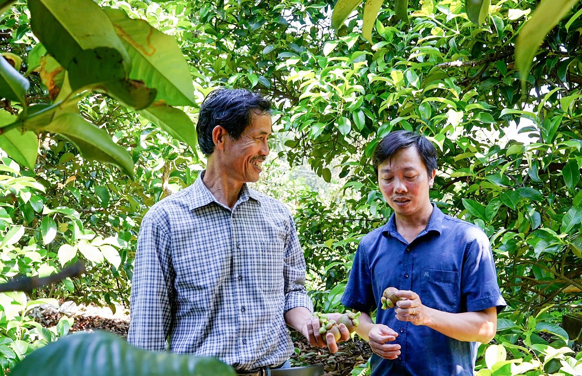 Khu vực các xã Tiên Phước, Thạnh Bình, Lãnh Ngọc và Sơn Cẩm Hà đang được định hướng phát triển thành vùng sinh thái, nông nghiệp chất lượng cao. Ảnh minh họa: HỒ QUÂN