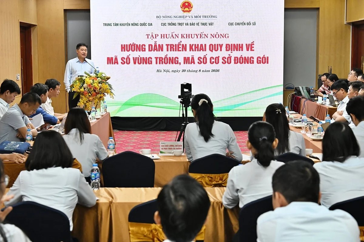 Khuyến nông bám vùng trồng từ trước đến sau khi cấp mã