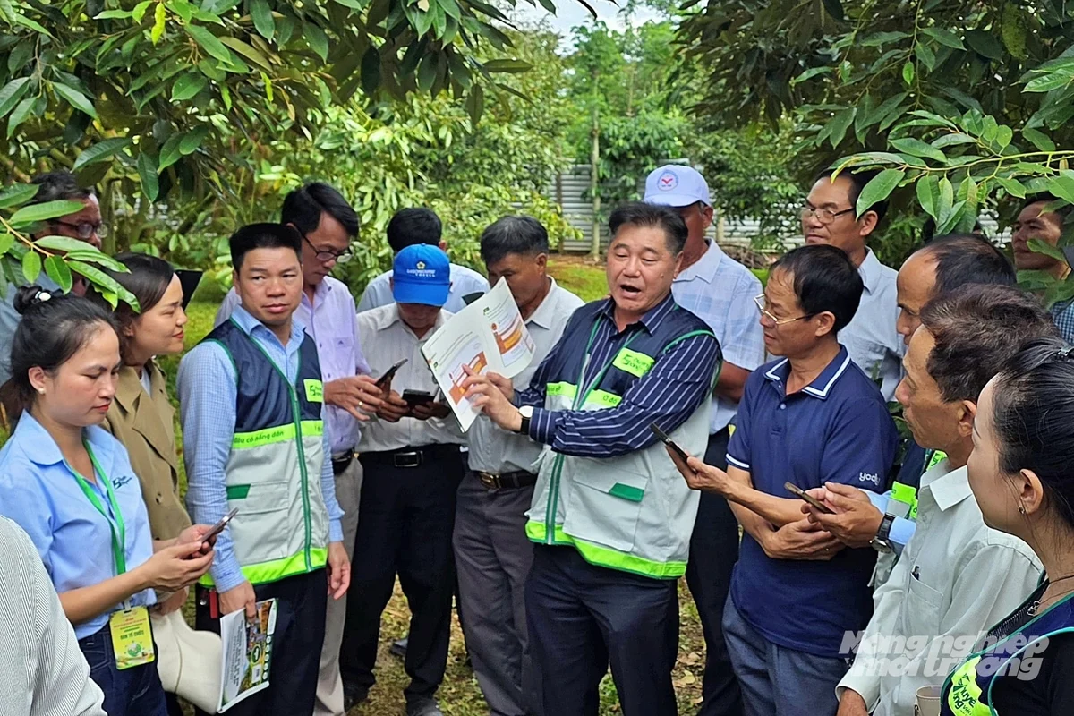 Trung tâm Khuyến nông Quốc gia hướng dẫn người dân xã Cư M'Gar, tỉnh Đắk Lắk. Ảnh: Bảo Thắng.