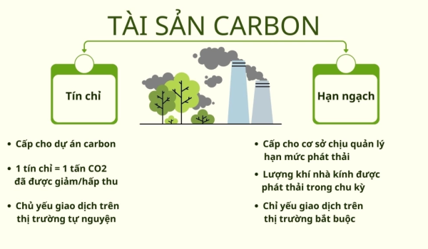 các loại tài sản carbon