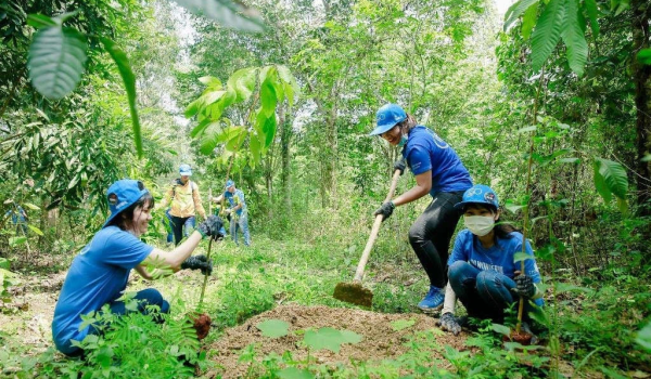 Việt Nam nhận 51,5 triệu USD từ WB cho giảm phát thải carbon