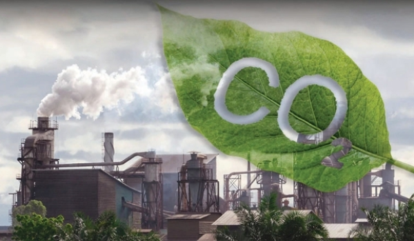 Thị trường carbon không chỉ giúp thực hiện nghĩa vụ môi trường mà còn nâng cao năng lực cạnh tranh của doanh nghiệp, đặc biệt trong bối cảnh các tiêu chuẩn xanh ngày càng phổ biến. Ảnh minh họa