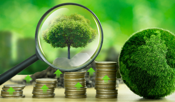 Năm đô la một tín chỉ Carbon là mắc hay rẻ?
