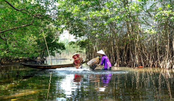 Người dân đánh bắt thủy hải sản tại rừng ngập mặn. Ảnh: Pexels