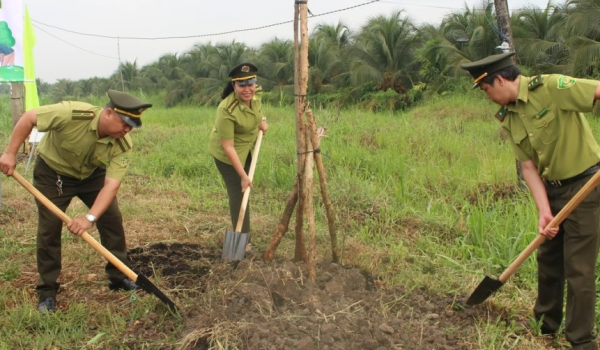 Ngành chức năng trồng cây xanh
