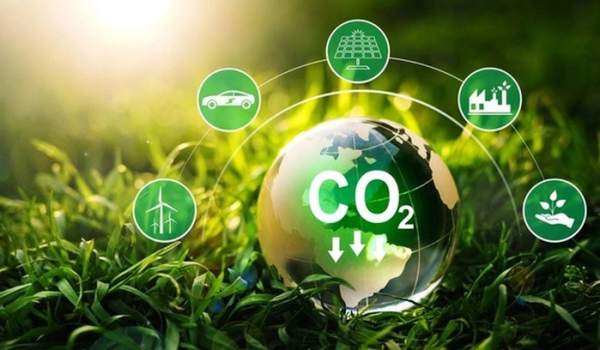 Việc cung ứng và sử dụng dịch vụ hấp thụ và lưu giữ carbon của rừng không được ảnh hưởng đến việc thực hiện cam kết quốc tế về giảm phát thải khí nhà kính mà Việt Nam tham gia.