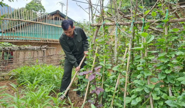 Kinh phí có được từ bán tín chỉ các bon rừng giúp giảm tải áp lực lên các chủ rừng và người lao động. Ảnh: Việt Khánh.