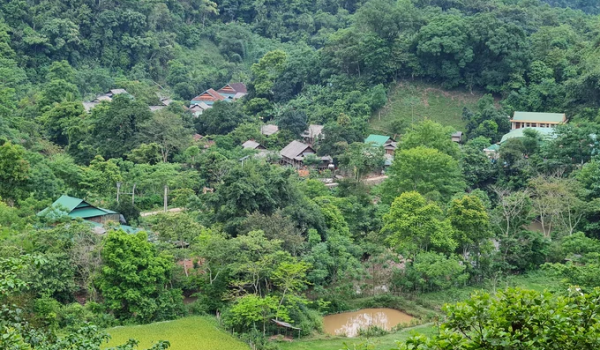 Chưa tìm ra lời giải cho những băn khoăn, đồng nghĩa việc giải ngân nguồn kinh phí khổng lồ từ tín chỉ các bon phải gác lại. Ảnh: Việt Khánh.
