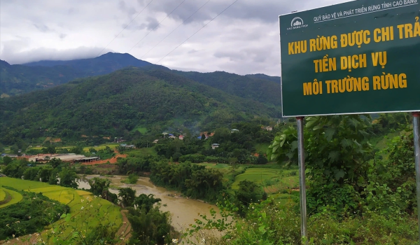 Sở Nông nghiệp và Môi trường phản hồi thông tin về chi trả dịch vụ môi trường rừng