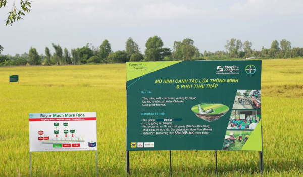 Mô hình "Canh tác lúa bền vững hướng đến tương lai - Bayer ForwardFarming" - một trong những mô hình tiêu biểu được triển khai tại Đồng bằng sông Cửu Long trên cơ sở hợp tác giữa Bayer và Trung tâm Khuyến nông Quốc gia. Ảnh: Bayer