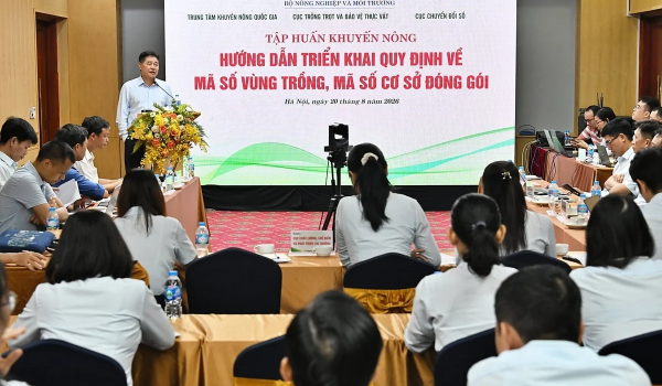 Khuyến nông bám vùng trồng từ trước đến sau khi cấp mã