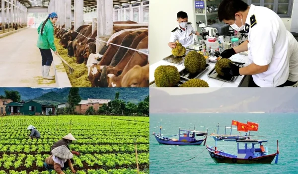 Nhiều thủ tục liên quan đến lĩnh vực trồng trọt và bảo vệ thực vật, chăn nuôi và thú y, môi trường, biến đổi khí hậu, khoa học công nghệ, quản lý tài nguyên biển và hải đảo được cắt giảm, đơn giản hóa và phân cấp cho địa phương. Ảnh: Thanh Ngân.