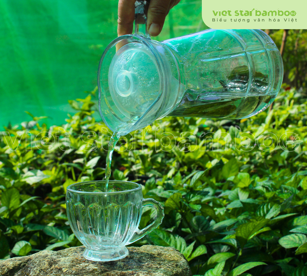 Trà tiên Núi Cấm