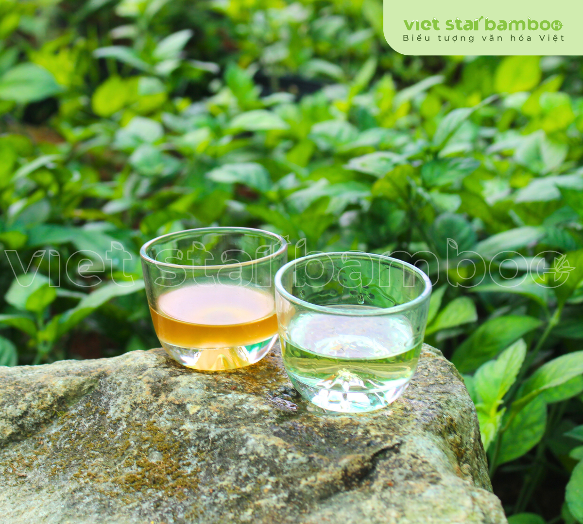 Vang và rượu trà tiên