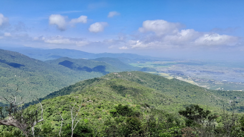 Dù chưa lên sàn giao dịch nhưng Việt Nam đã bán thành công 10,3 triệu tín chỉ carbon rừng.