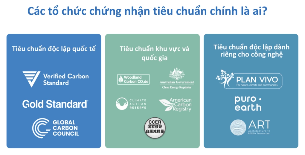 Làm thế nào để được cấp Tín Chỉ Carbon?