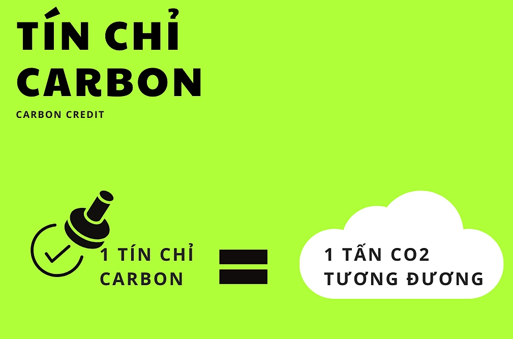 1 tín chỉ carbon = 1 tấn CO2 tương đương Đồ họa: Dỹ Tùng