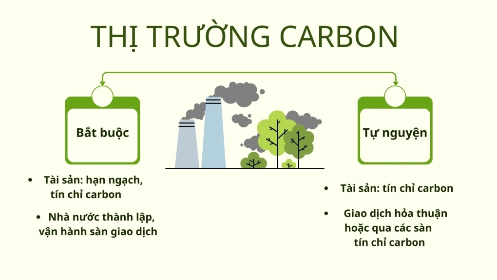 thị trường carbon