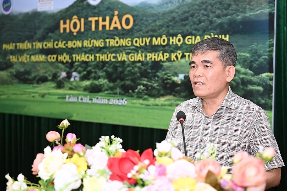 Ông Hoàng Liên Sơn, Giám đốc Trung tâm Nghiên cứu Kinh tế Lâm nghiệp. Ảnh: Bảo Thắng.