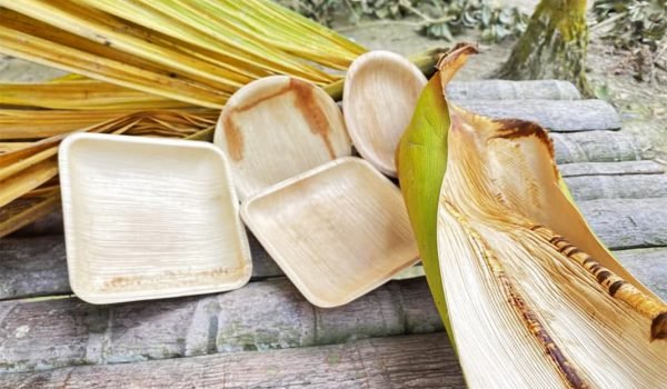 Mỹ gửi cảnh báo nhập khẩu sản phẩm chén đĩa mo cau