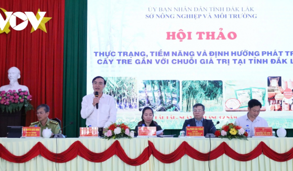 Vùng biên giới Đắk Lắk khai mở tiềm năng kinh tế xanh từ cây tre