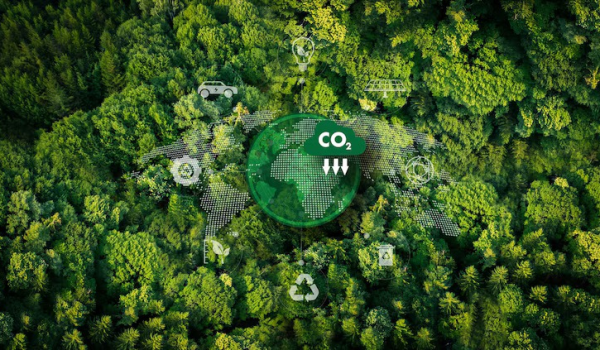 Thị trường carbon Việt Nam: Khai mở tiềm năng, đón đầu cơ hội