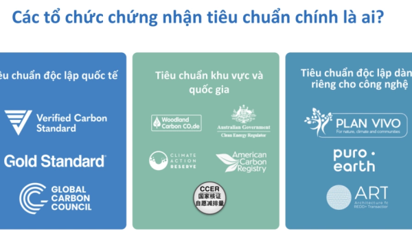 Làm thế nào để được cấp Tín Chỉ Carbon?