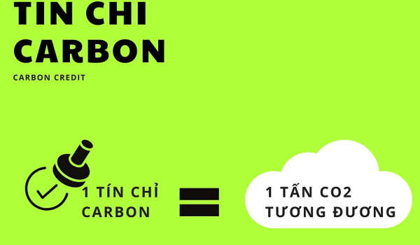 1 tín chỉ carbon = 1 tấn CO2 tương đương Đồ họa: Dỹ Tùng