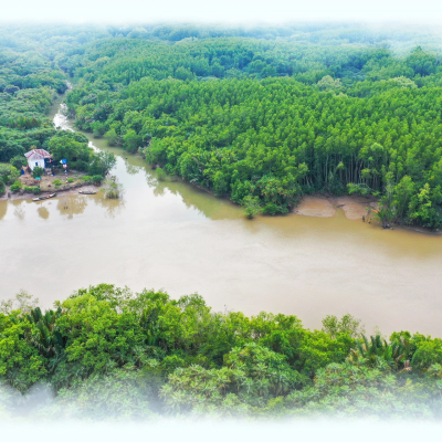 VIỆT NAM THU HÀNG NGÀN TỈ ĐỒNG TỪ BÁN TÍN CHỈ CARBON