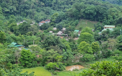 Chưa tìm ra lời giải cho những băn khoăn, đồng nghĩa việc giải ngân nguồn kinh phí khổng lồ từ tín chỉ các bon phải gác lại. Ảnh: Việt Khánh.